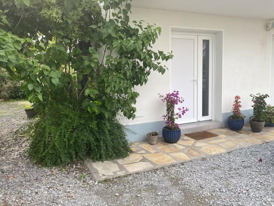 Appartement Zenitude Et Proximite à Billere Extérieur photo
